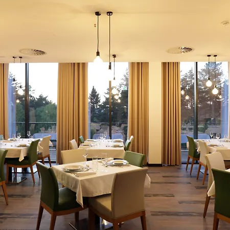 Hotel Pena Park Ribeira de Pena